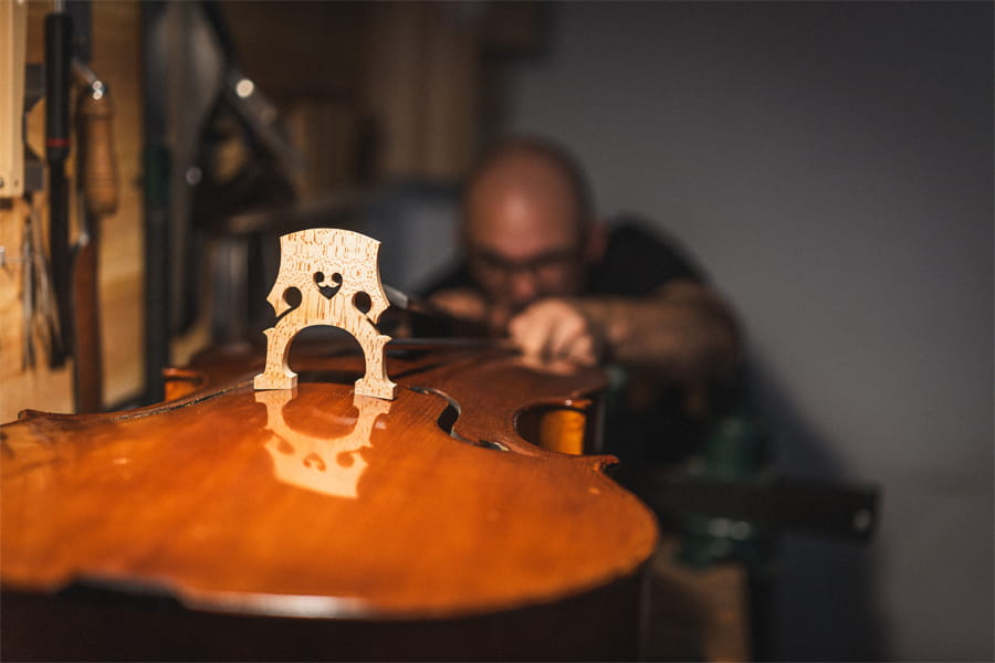 Restauración y rehabilitación