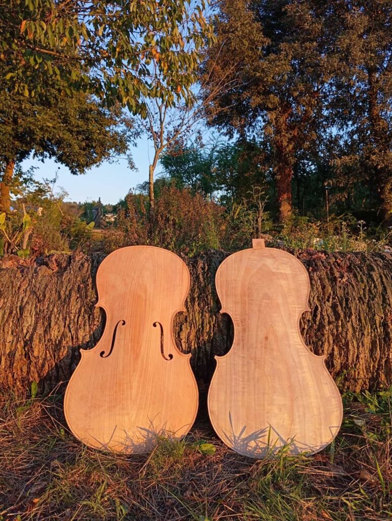 Proyecto chelo gallego 3