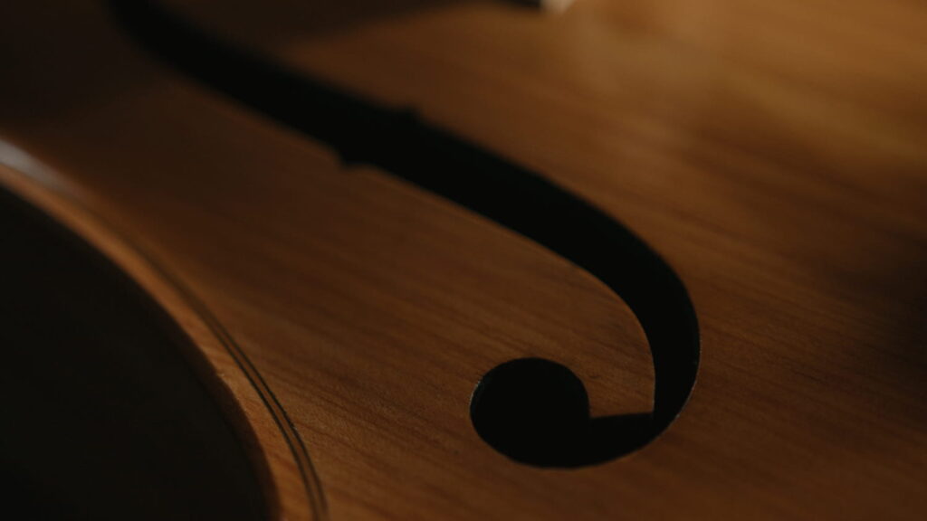 Proyecto chelo gallego 4