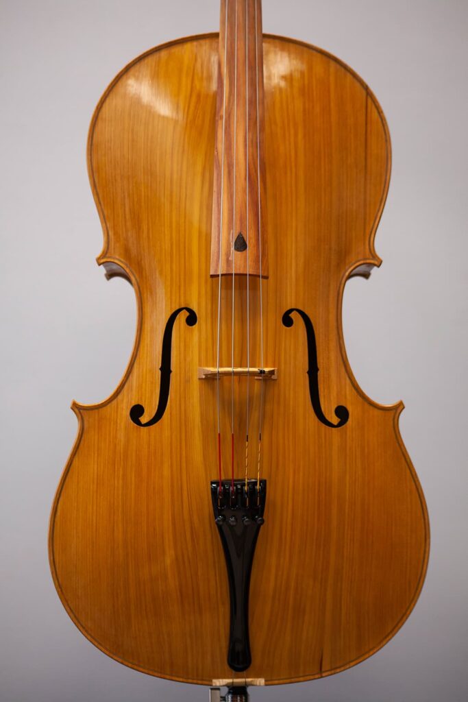 Proyecto chelo gallego 5